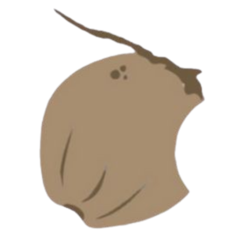 Logo Oesaka
